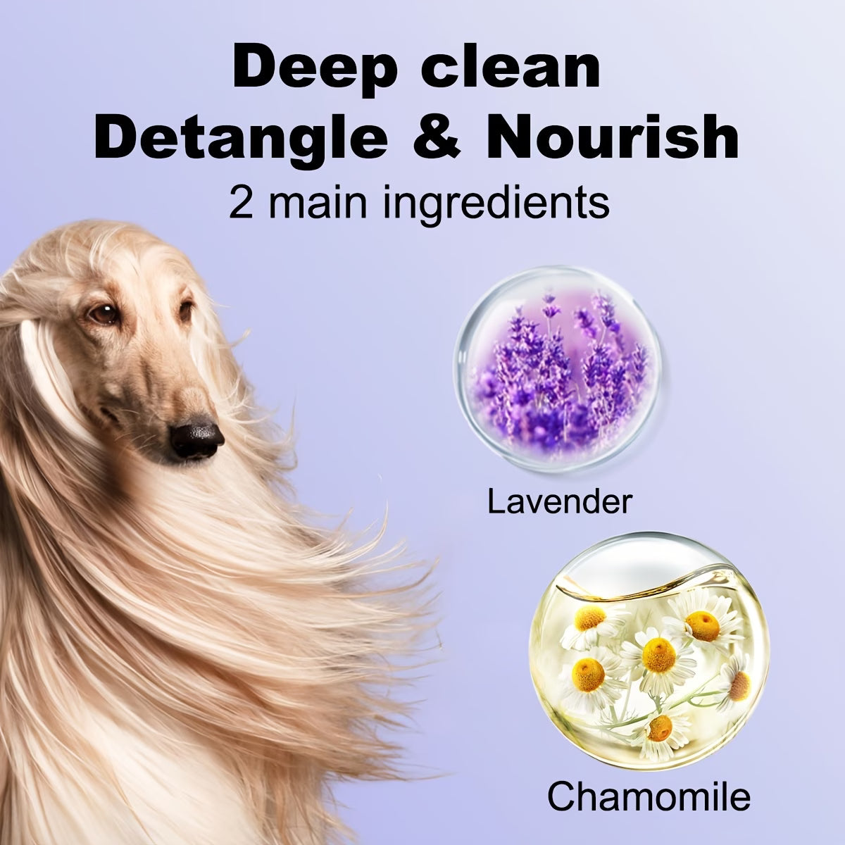 4-in-1 Pet Shampoo and Conditioner with Lavender & Chamomile - Deep Cleans & Nourishes